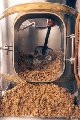  Barley: Een wondergraan voor de bier- en voedingsindustrie!