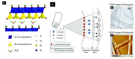 HNT Nanotubes voor Optimale Sterkte en Lichtgewicht Toepassingen!