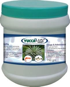  Yucca: Een natuurlijk bindmiddel voor een duurzame toekomst?