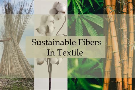 Yucca Fibres: Een Duurzame en Sterke Optie voor de Textielindustrie?